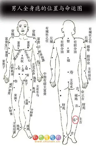 女人全身痣的位置与命运1,寿考痣            2,威权痣3,智仁秀痣