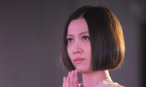 娱乐明星排行榜,来自湖南的姚贝娜