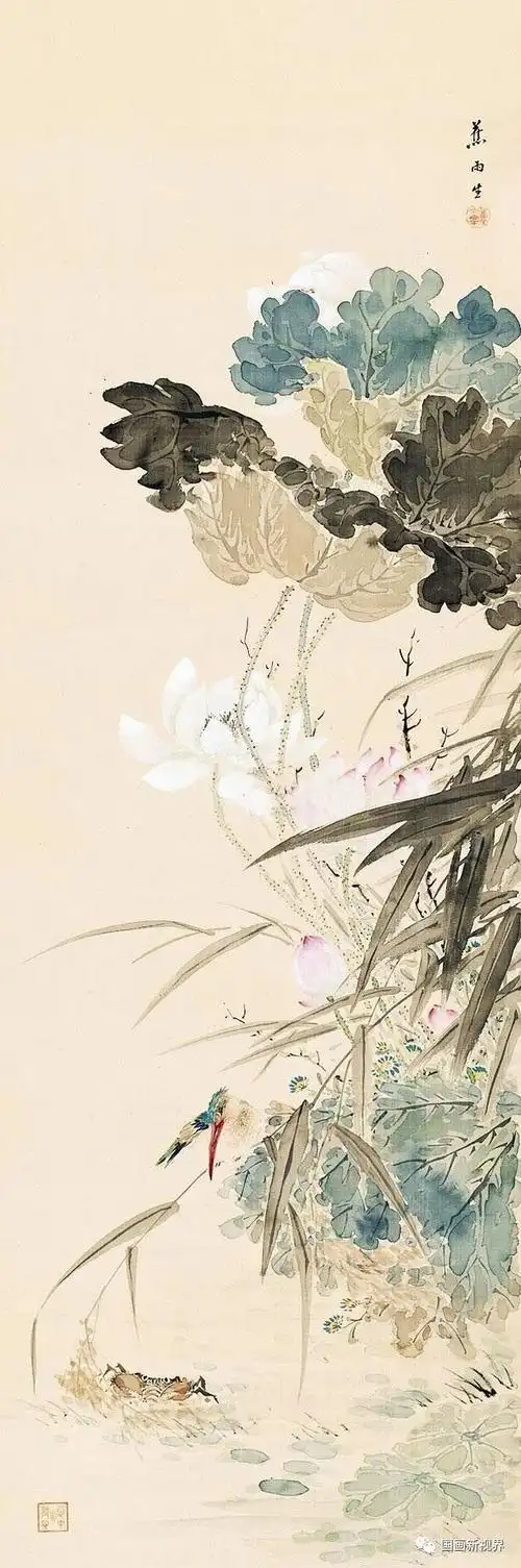 这组荷花真挺美!