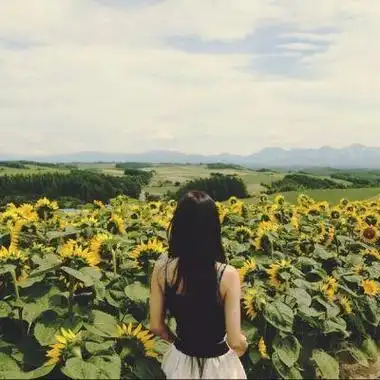 最新qq风景头像女生背影头像小清新头像女生头像大全