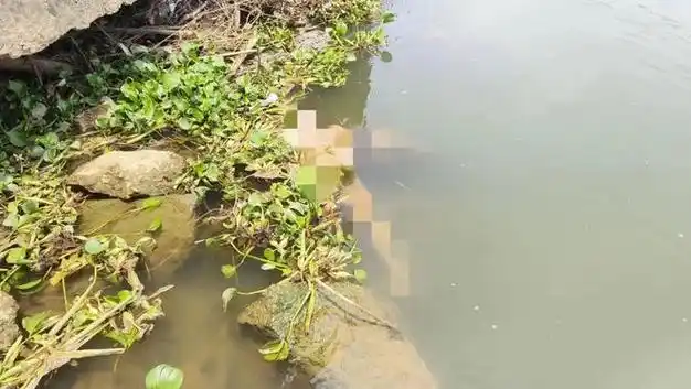 突发河源一女子溺水遗体在下游14公里处找到