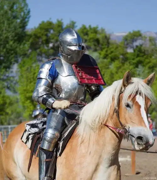 中世纪骑士:欧洲中世纪的贵族骑士和骑士精神