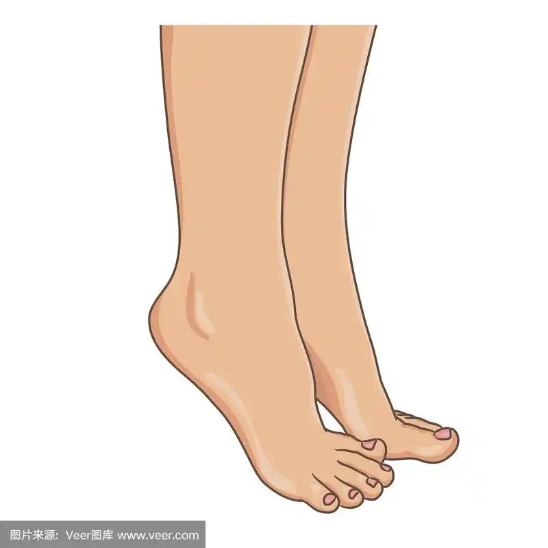 女性双腿赤脚,侧视.矢量插图,手绘卡通风格孤立在白色.