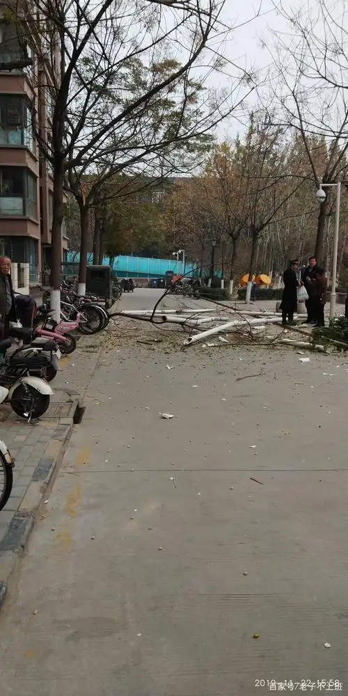 河北省石家庄市裕华区盛邦花园三区仍然出下了类似事件!