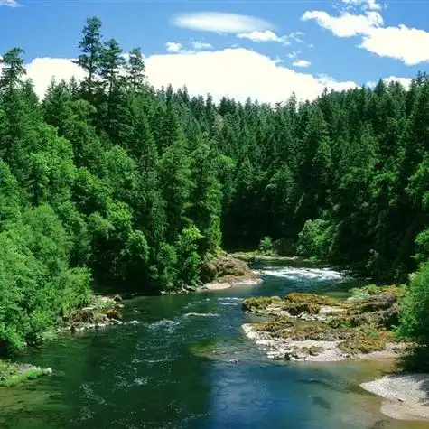 精选自然风光清新淡雅风景头像蓝天白云绿色植物