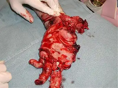 枪械威力第2辑(血腥慎入)