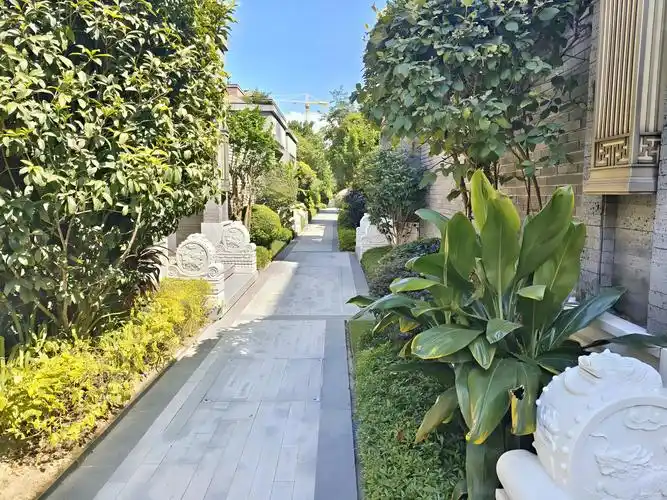 云飞豪宅急售地铁口端头合院别墅电梯5层别墅用800坪