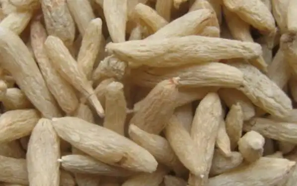 今日麦冬价格再次上涨2元左右!