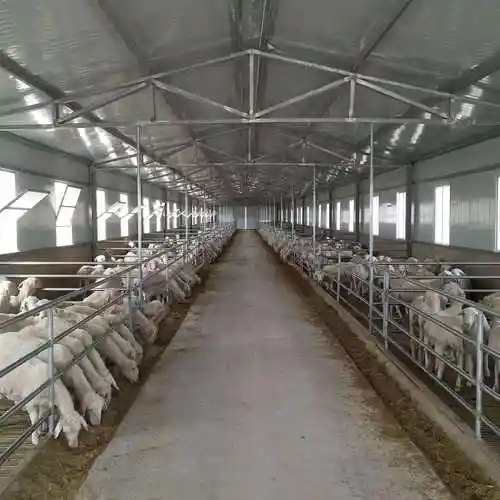 山羊圈舍是怎样建造?放养羊还需要羊舍吗?