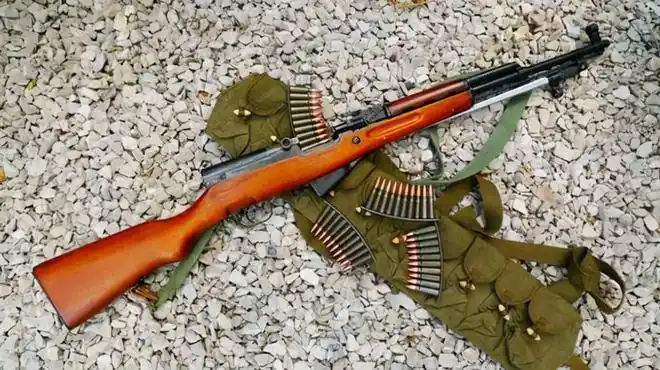 卑诗省发生多起涉枪暴力事件:枪击案,武装抢劫案,违禁枪支案|凶杀案