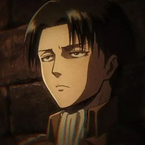 进击的巨人 自截 自调色 头像