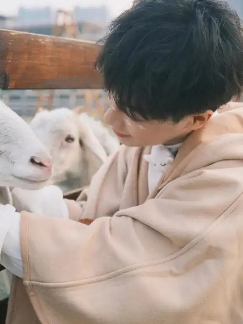 声优都是怪物cv倒霉死勒