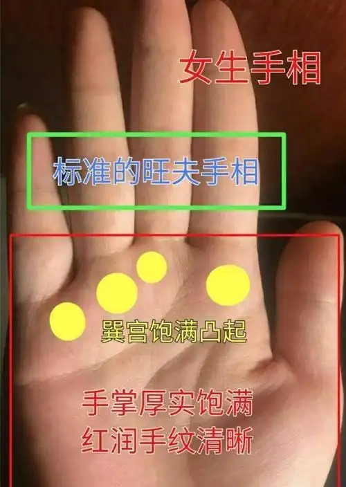 判断旺夫相女人标准手相是什么? 标准旺夫女人面相