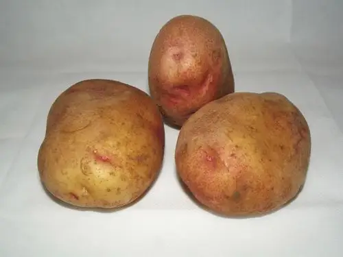 马铃薯土豆图片蔬菜土豆马铃薯