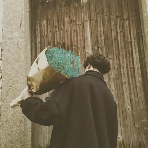 森系男生头像:少年似风故时常空中虚握,似与他十指相扣!