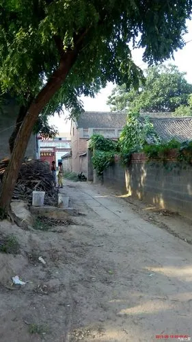 向你展示河南北部真实的农村景象