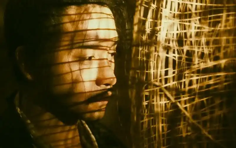 活动作品张国荣哥哥东邪西毒经典台词