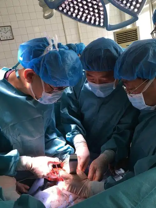 泌尿外科成功完成一例巨大肾肿瘤手术