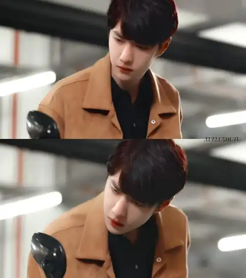 【王一博】陪你到世界之巅/饰季向空