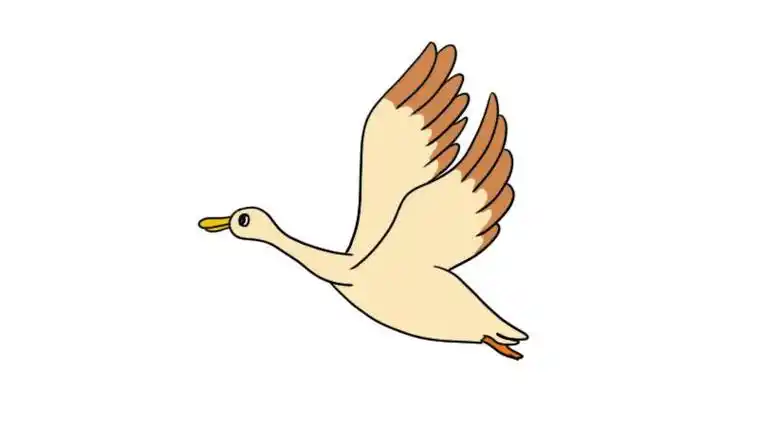 大雁简笔画简笔画大雁步骤图案大雁南飞简笔画步骤图如何画大雁南飞