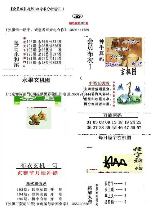 真精华会员布衣1