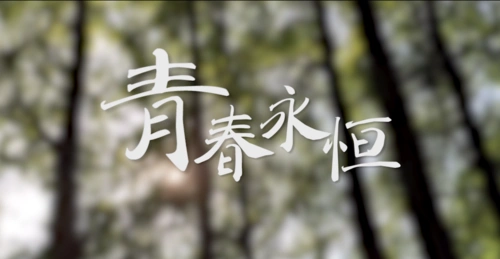 微视频|青春永恒 - 封面新闻