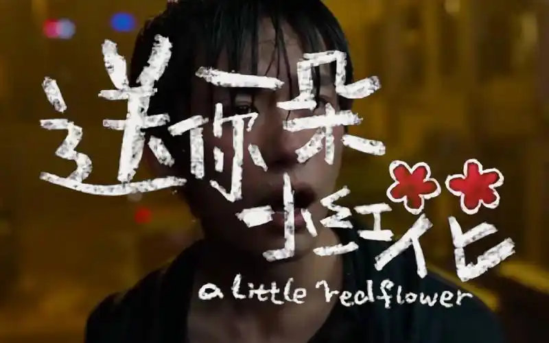 赵英俊《送你一朵小红花》-用剪辑的语言表达对世界患者的关爱