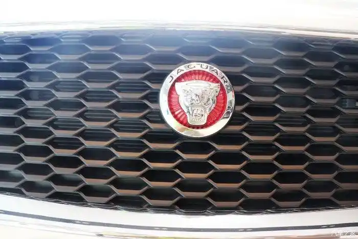 豹子头的 车标 也是经典的捷豹风格  豹子象征着速度和爆发力