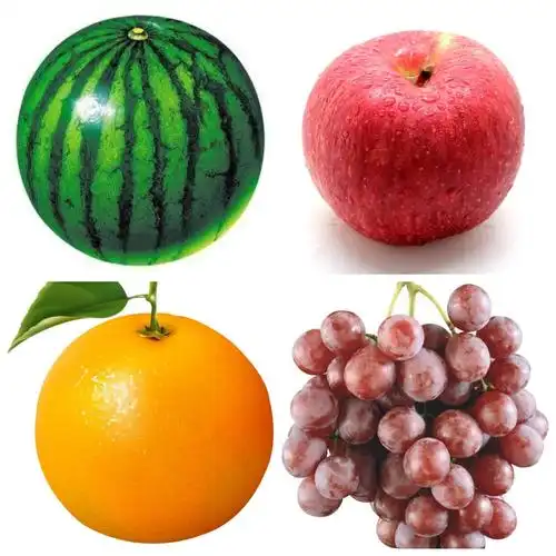 生活中很多东西都是圆形的,你知道哪些圆形的物品呢?