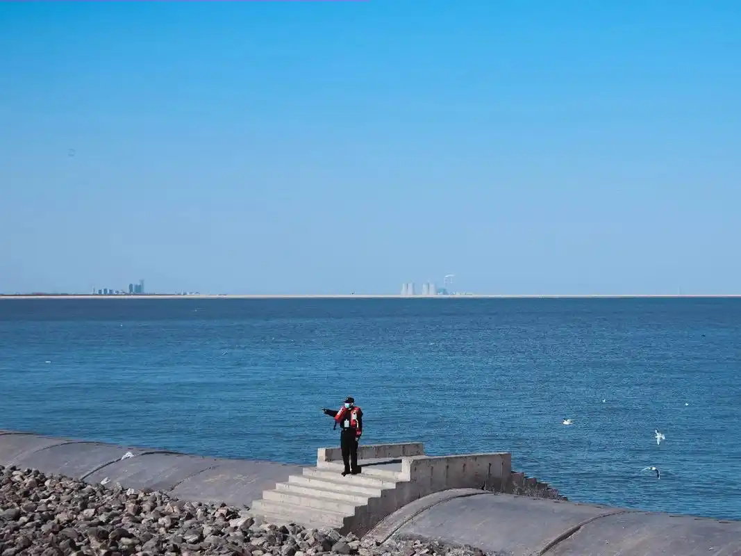 命运凡有剥夺 暗中皆有奖励 #东疆港亲海公园 #海鸥 #图文 - 抖音