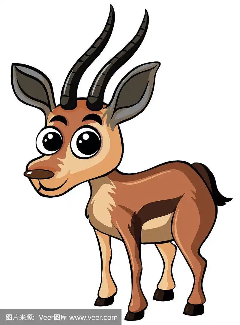 白色背景上的小羚羊