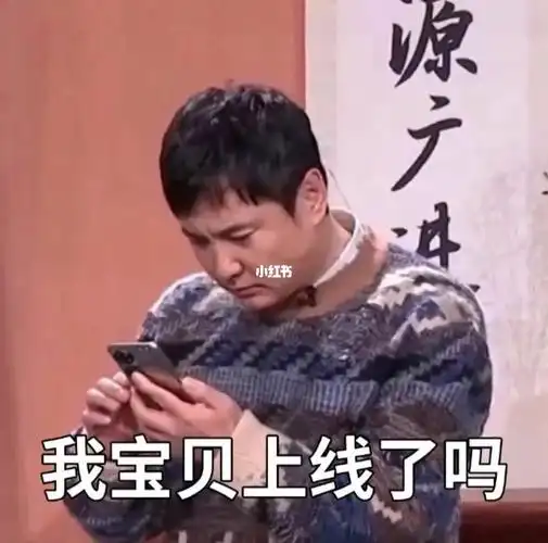 春晚沈腾贾玲表情包