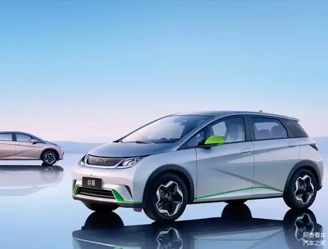 2月新能源汽车销量榜出炉仅5款车破万3款超2万