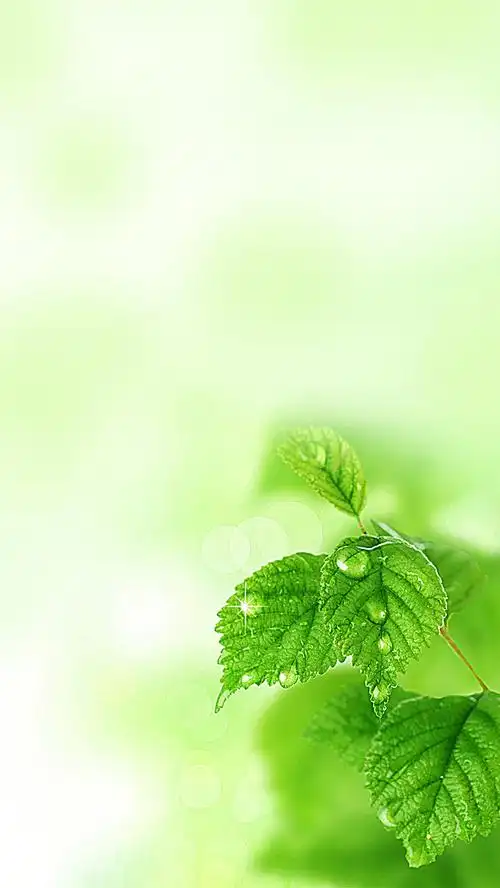 650_1155竖版 竖屏