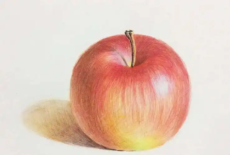 50张彩铅素材非常适合初学者临摹