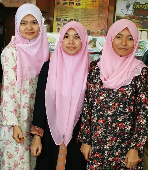 "一个马来西亚"多元族群的国度