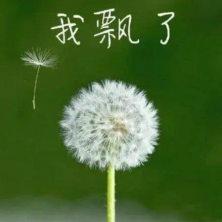 斗图表情包:下班咯,开冲