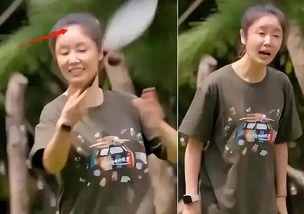 照片中的林心如似乎有着相当大的肚子,这让人怀疑她是否怀孕了