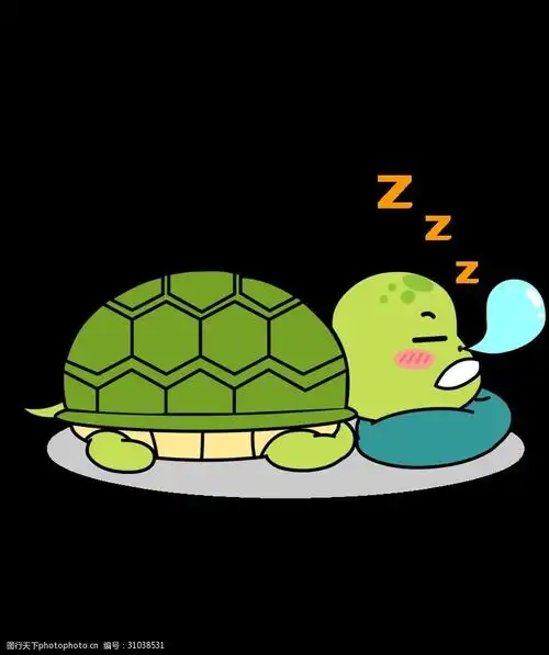 呆狸智慧龟卡通人物表情