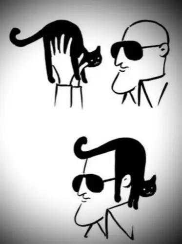 猫王跟猫有什么关系?