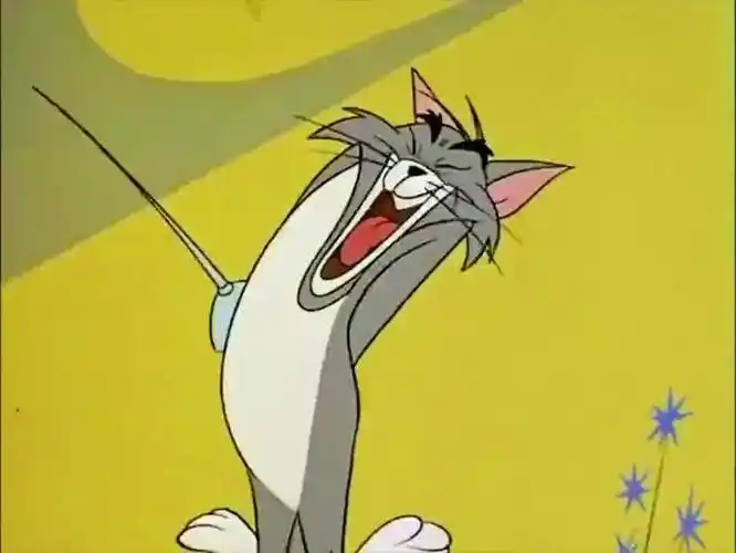 猫和老鼠汤姆和杰瑞的击剑比赛还没开始杰瑞的剑就已经弯了