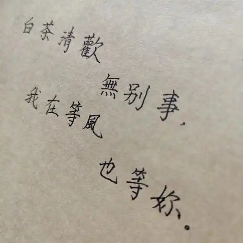 网易云热评一一我在等风也等你