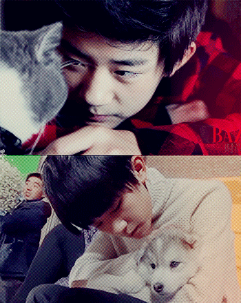 易烊千玺与萌宠