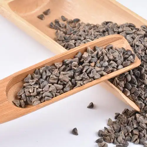 批发现货 苘麻子 苘实 野苎麻子 白麻子 中药材大全一件代发 包邮