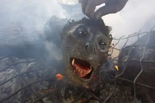 全球最震撼的诡异食物【组图】