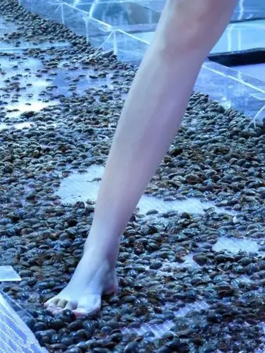 現場有女生被嚇哭