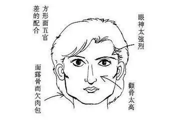 颧骨高的人面相分析:颧骨高的男人和女人运势如何?