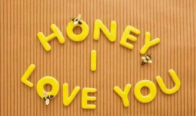 亲爱的英文是什么亲爱的英文是什么亲爱英文是什么