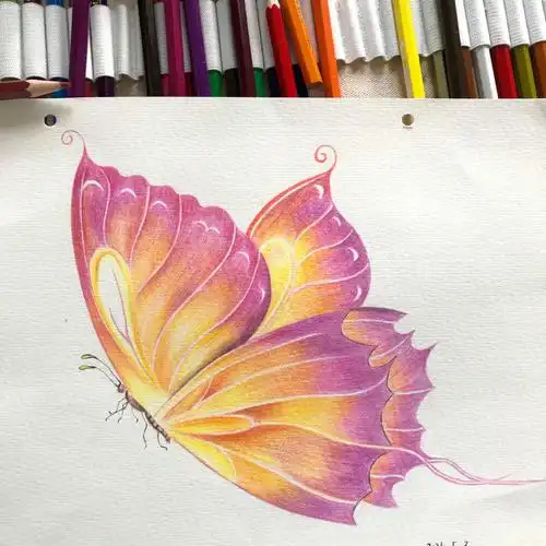 彩铅练习初学者