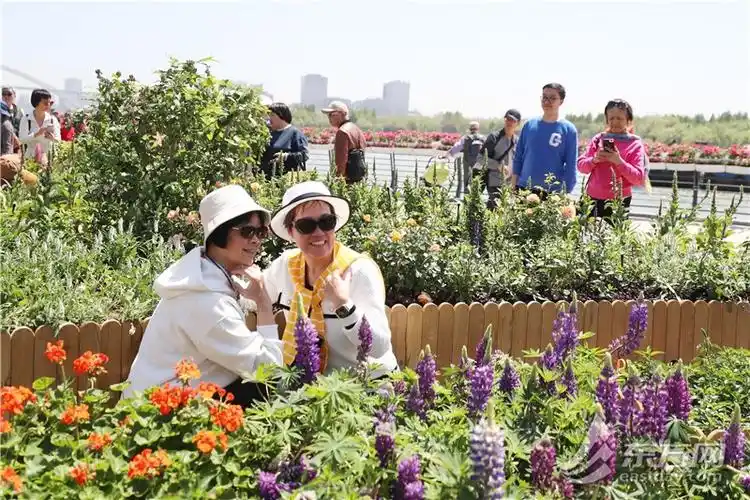 2024上海国际花展开幕徐汇滨江繁花似锦美出新高度